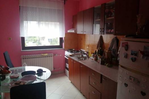 Tražimo trećeg cimera / cimericu