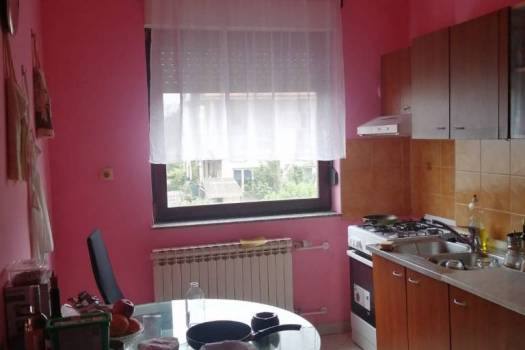 Tražimo trećeg cimera / cimericu