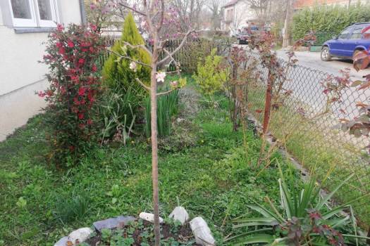 IZNAJMLJIVANJE KUĆE