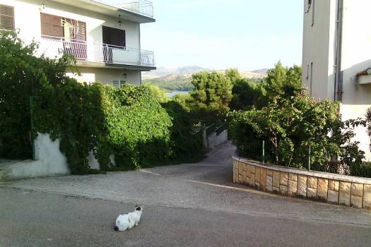 Iznajmljivanje stana – Šibenik