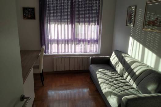 Traži se cimerica : jednokrevetna soba u dvosobnom stanu