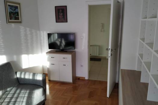 Traži se cimerica : jednokrevetna soba u dvosobnom stanu