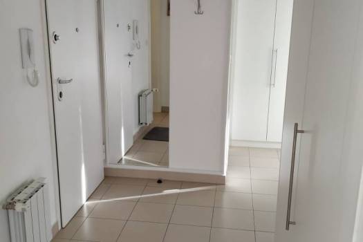 Traži se cimerica : jednokrevetna soba u dvosobnom stanu